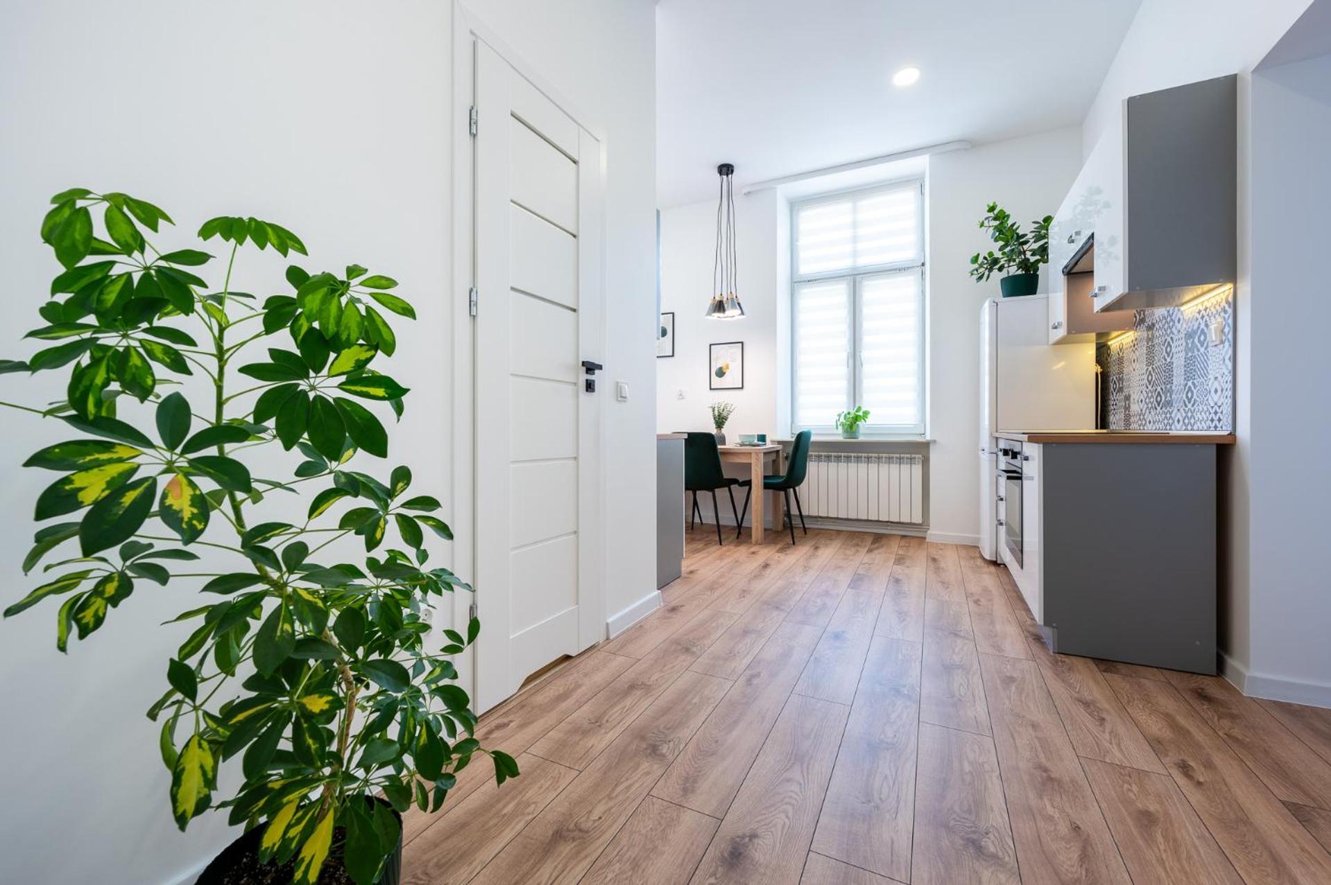 Apartment Green Apartment Przemyśl